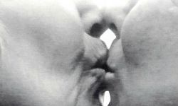 køusskøuss 05